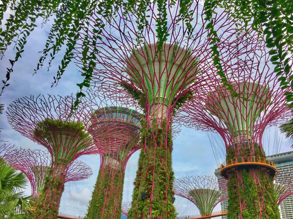 Gardens By the Bay will amaze you