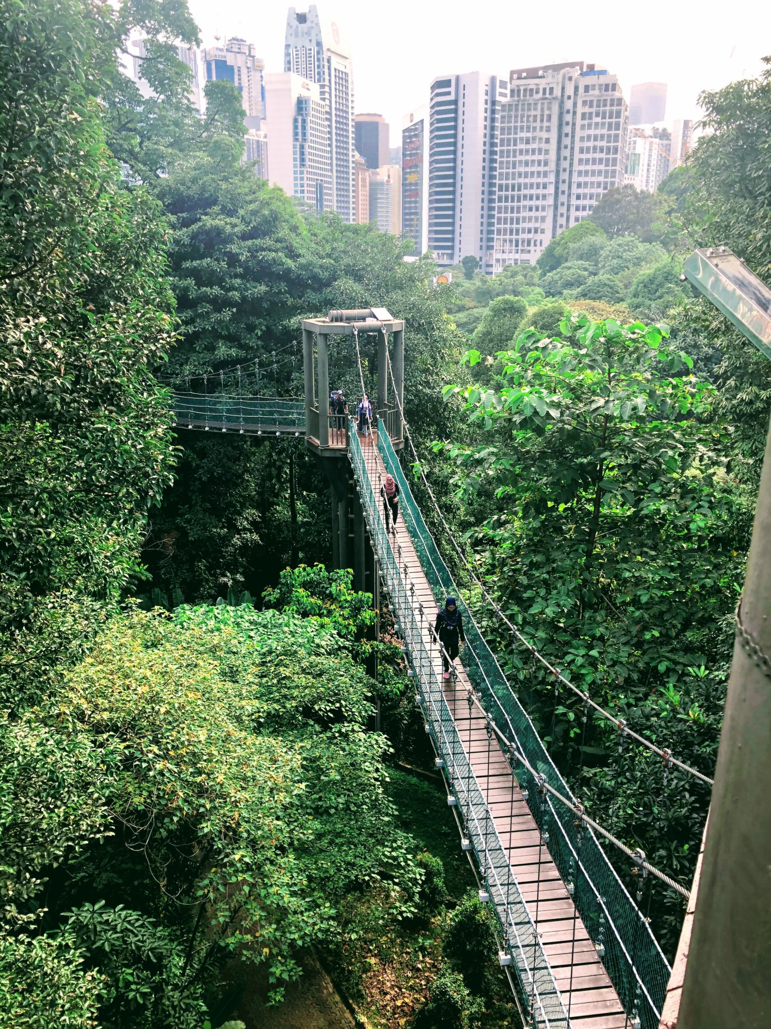 Walking through an urban jungle on a canopy walk.