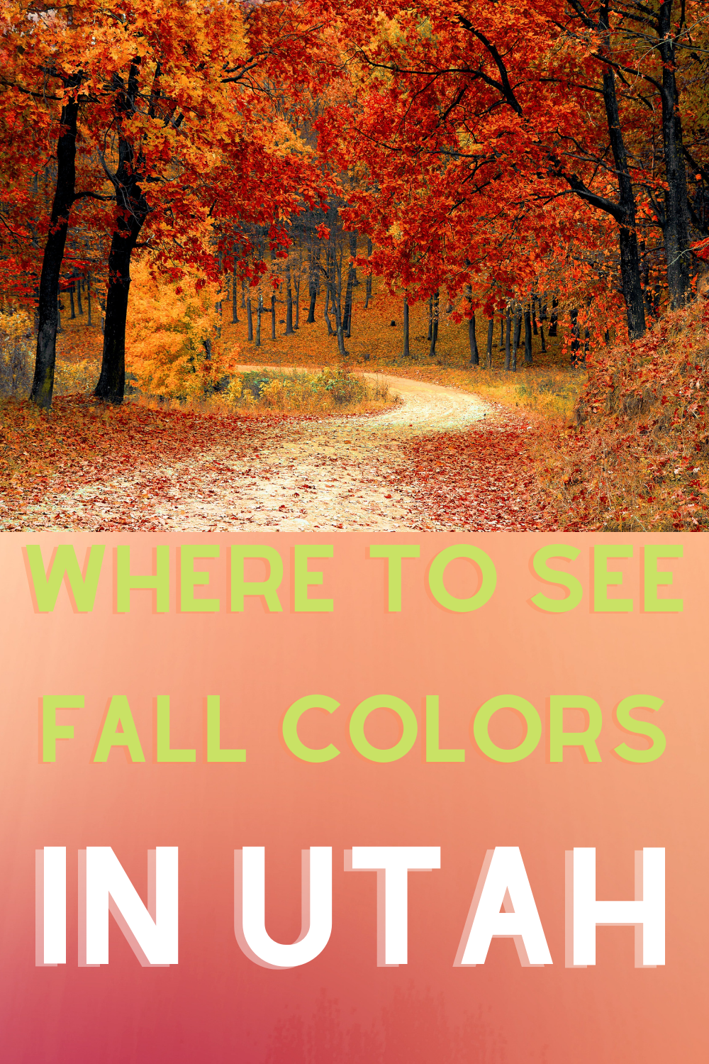 Where To See Fall Colors In Utah - Jet Lagged Mama